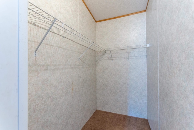 spacious closet featuring lofted ceiling