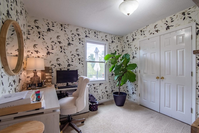 carpeted office space featuring a textured ceiling