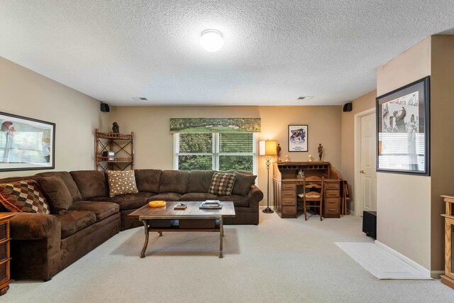 carpeted living room with a textured ceiling and a healthy amount of sunlight