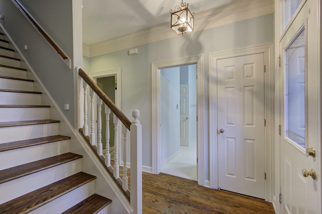 foyer with crown molding and dark hardwood / wood-style flooring