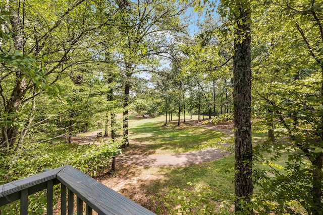 180 Vantage Pt, Counce, TN 38326 - view of yard