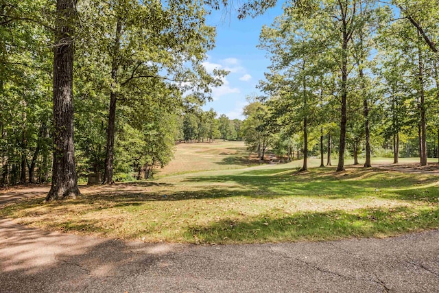 180 Vantage Pt, Counce, TN 38326 - view of property's community with a yard