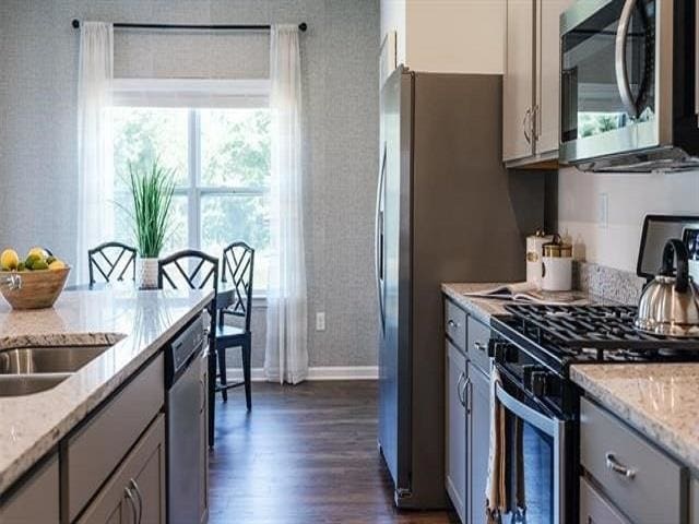 kitchen with plenty of natural light, light stone counters, stainless steel appliances, and dark hardwood / wood-style flooring