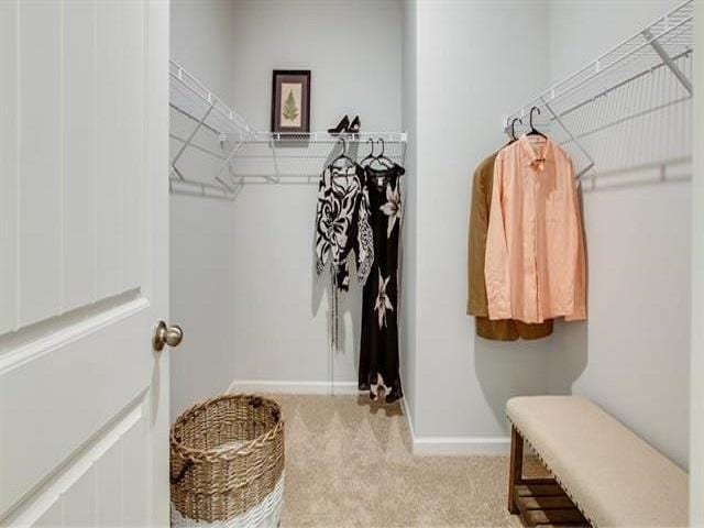 walk in closet with carpet floors