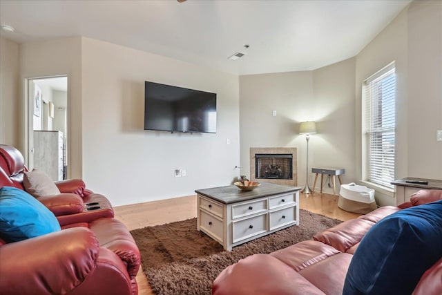 living room with hardwood / wood-style flooring