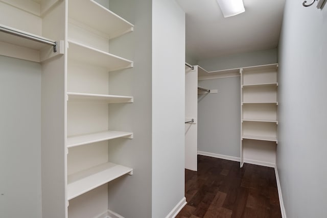 spacious closet featuring dark wood-type flooring