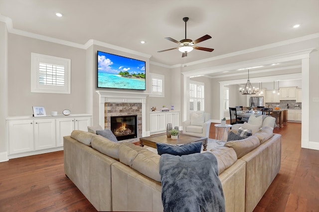 living room with ceiling fan with notable chandelier, a fireplace, crown molding, and dark wood-type flooring