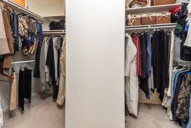 walk in closet with light carpet