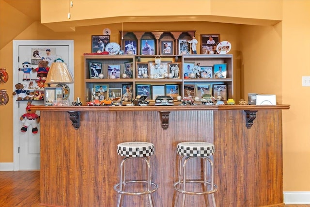 bar featuring wood-type flooring