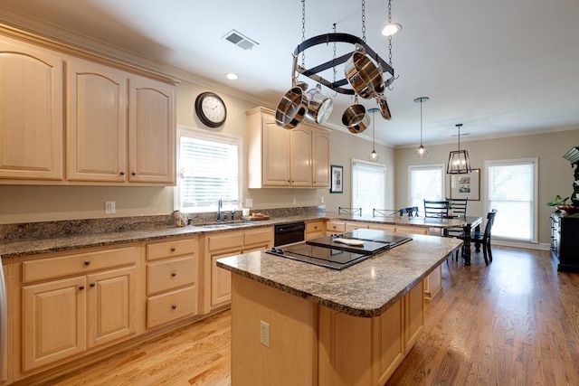 kitchen with light hardwood / wood-style floors, hanging light fixtures, a healthy amount of sunlight, and sink