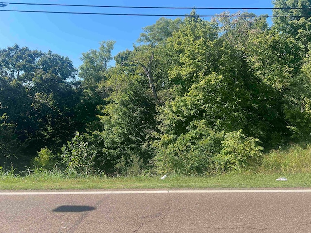 000 Monroe St, Ripley TN, 38063 land for sale