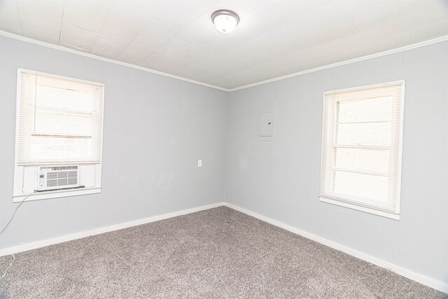 empty room with carpet floors and crown molding