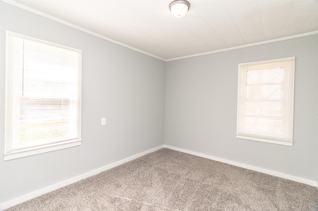 carpeted empty room with crown molding