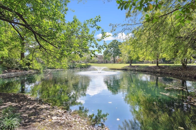 view of water feature