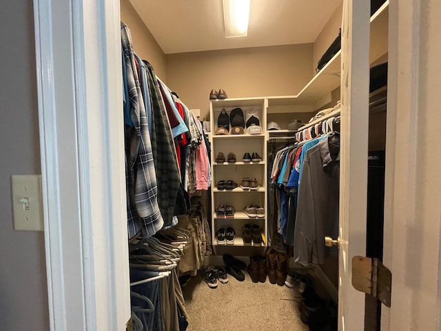 spacious closet featuring carpet