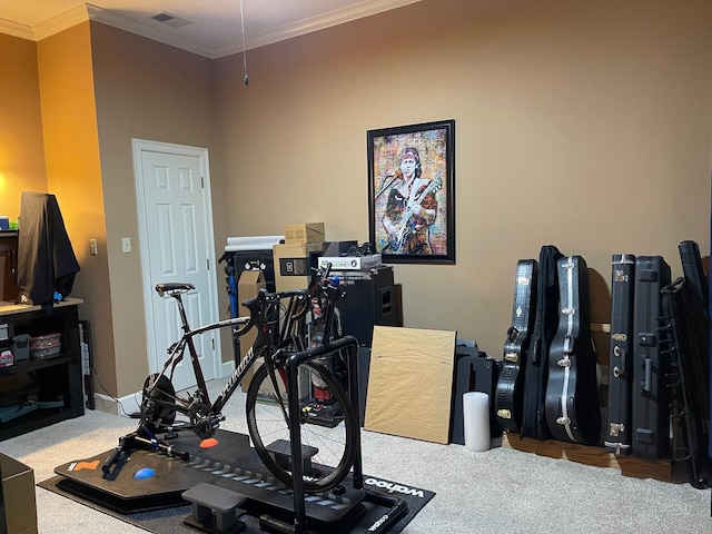 exercise room featuring carpet floors and crown molding