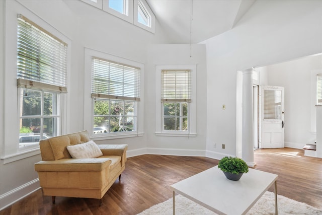 sitting room with dark hardwood / wood-style floors, high vaulted ceiling, and a healthy amount of sunlight