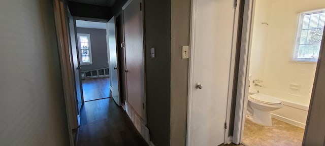 corridor with dark hardwood / wood-style flooring