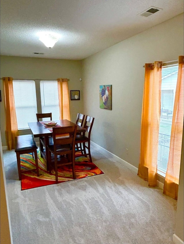 dining room with carpet floors and a textured ceiling