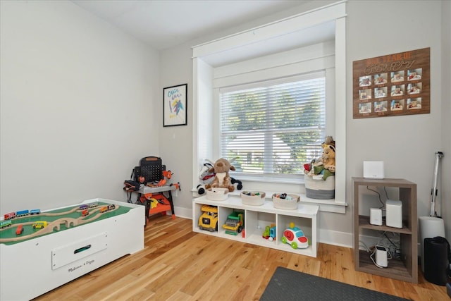 recreation room with wood-type flooring