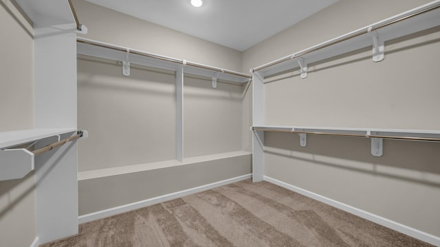 spacious closet with light colored carpet