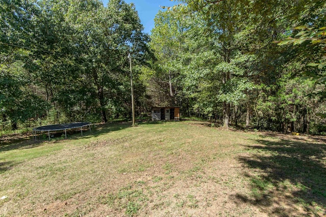 view of yard with a storage shed and a trampoline