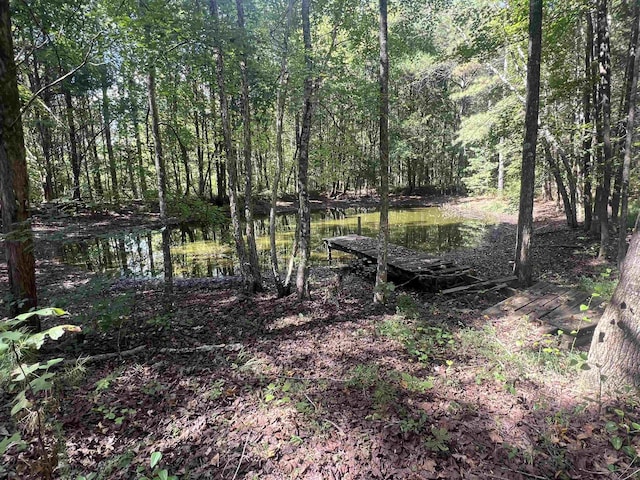 1405 Hurricane Dr, Sardis, TN 38371 - view of nature with a water view and a forest view