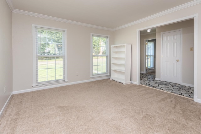 empty room with ornamental molding and light colored carpet