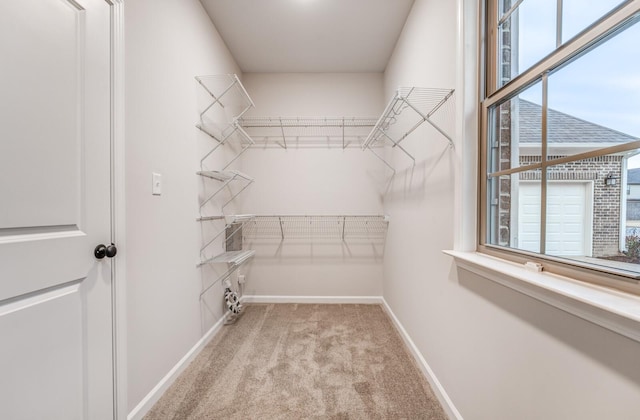 walk in closet featuring light carpet