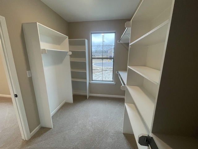 walk in closet with light carpet