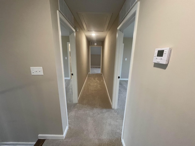 corridor featuring visible vents, carpet, attic access, and baseboards