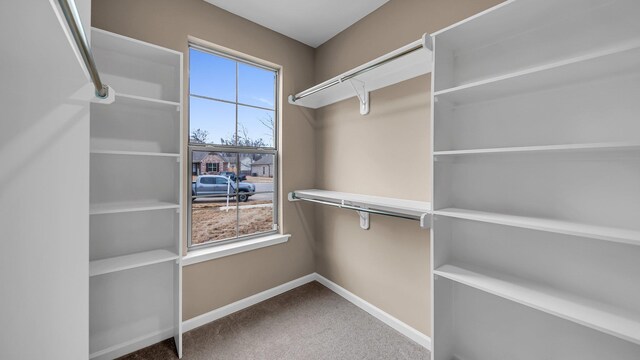 walk in closet featuring carpet