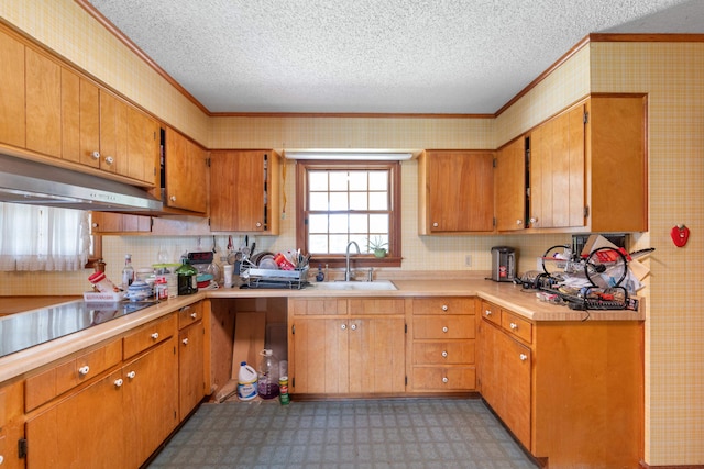 kitchen with a textured ceiling, black electric cooktop, ornamental molding, and sink