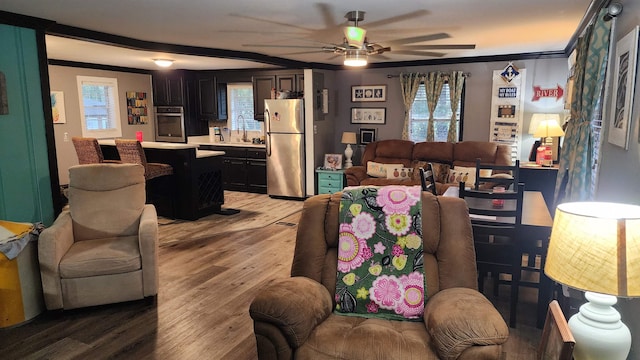 living room featuring ceiling fan, ornamental molding, light hardwood / wood-style flooring, and sink