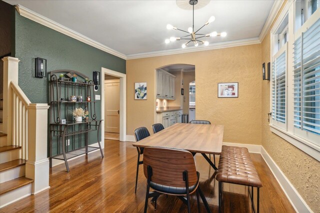 dining room featuring a healthy amount of sunlight, wood-type flooring, and ornamental molding