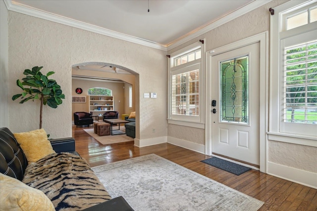 entrance foyer featuring a wealth of natural light, crown molding, and dark hardwood / wood-style flooring