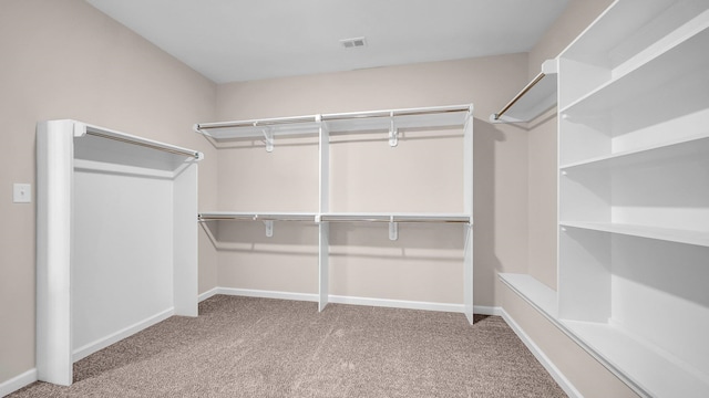 spacious closet with carpet floors