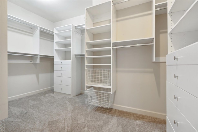 spacious closet with light carpet