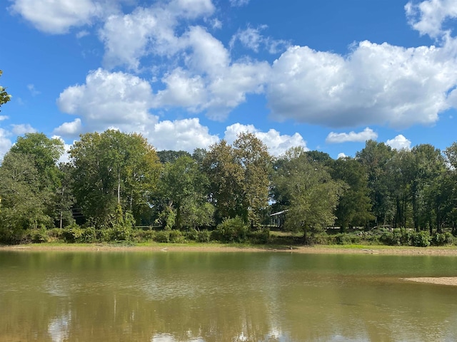 0 Harry Terry Dr, Savannah TN, 38372 land for sale