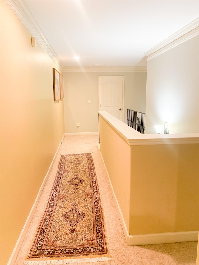 hall featuring crown molding and carpet flooring