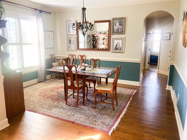 dining room with dark wood-type flooring and a healthy amount of sunlight