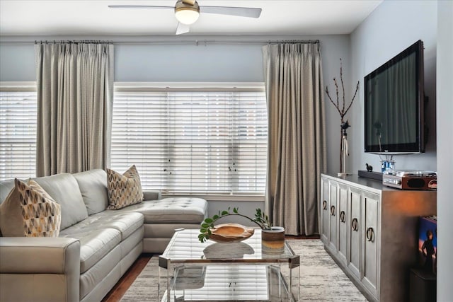 living room featuring ceiling fan and light hardwood / wood-style flooring