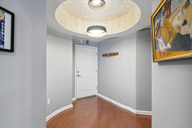 hallway with a raised ceiling and hardwood / wood-style flooring