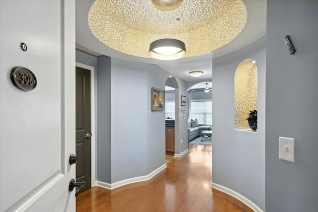 hall with a raised ceiling and hardwood / wood-style floors