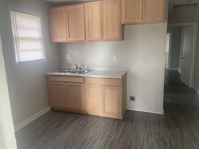 kitchen with dark hardwood / wood-style flooring, sink, and light brown cabinets