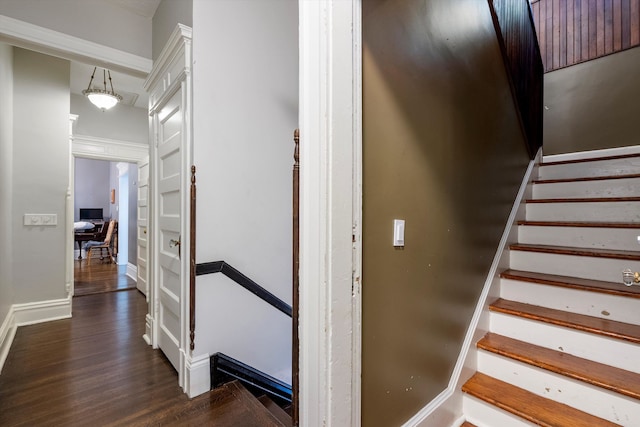 staircase with wood-type flooring