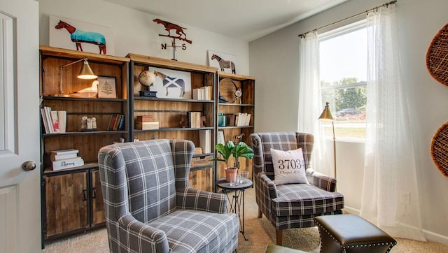 living area featuring light colored carpet