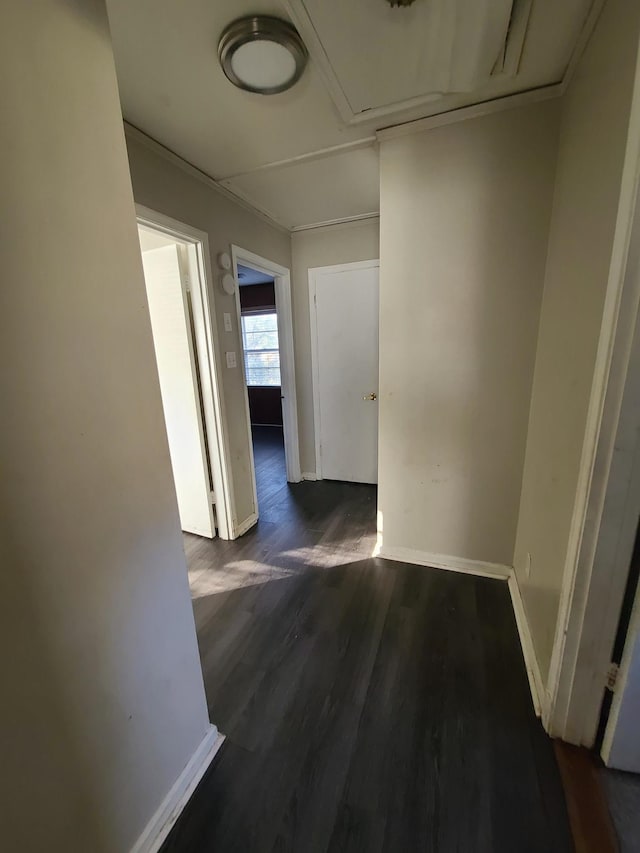 hall with dark hardwood / wood-style flooring