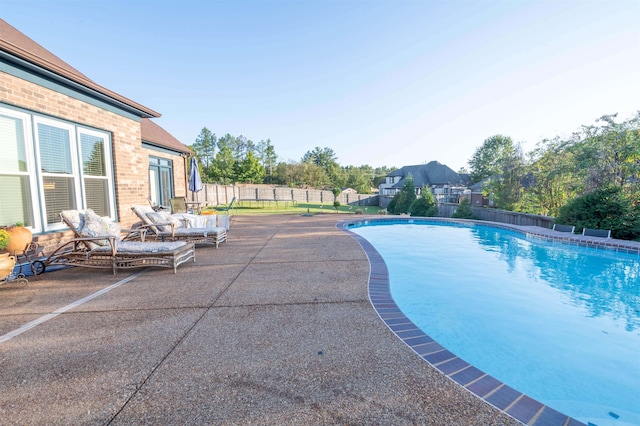 view of pool featuring a patio area