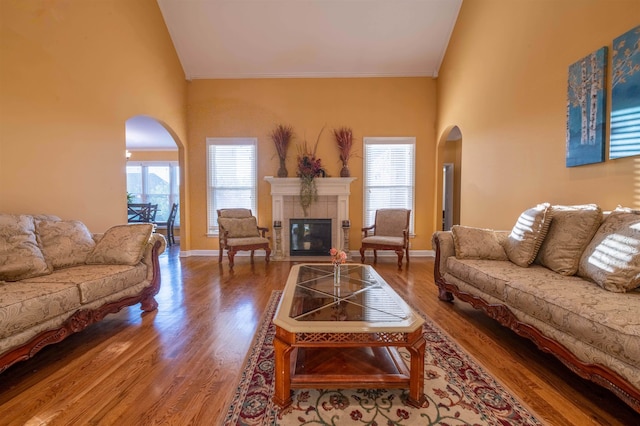 living room featuring high vaulted ceiling, hardwood / wood-style flooring, plenty of natural light, and a fireplace